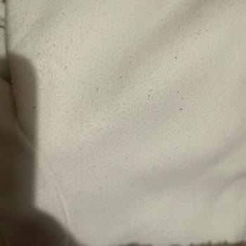 İlk Kullanımda Tüylenen Kaban Hayal Kırıklığı Yaşattı