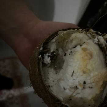 File Marketten Aldığım Hindistan Cevizleri Küflü Ve Kurtlu Çıktı Mağduriyet Yaşadım