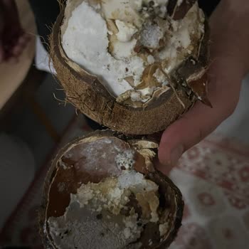 File Marketten Aldığım Hindistan Cevizleri Küflü Ve Kurtlu Çıktı Mağduriyet Yaşadım