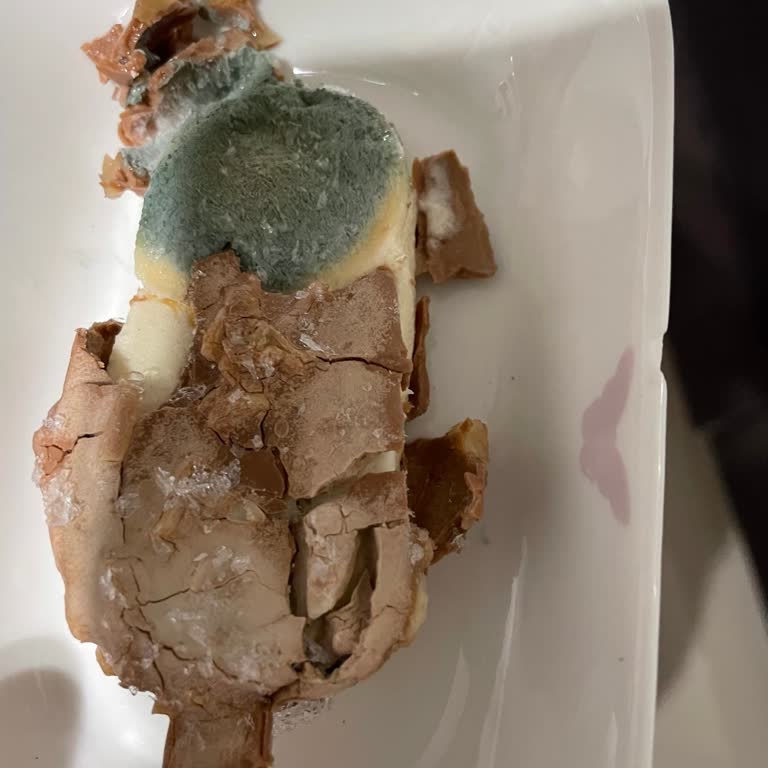 Tarihi Geçmemiş Magnum Dondurmada Küf Ve Kötü Tat Şoku!