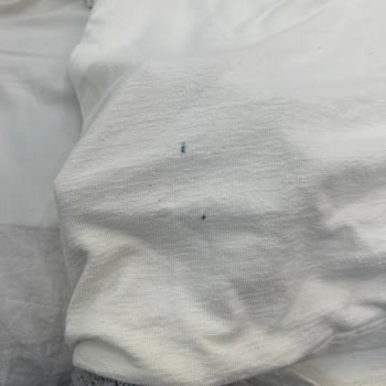 Siemens IQ500 Çamaşır Makinesinde Sürekli Leke Ve Boyama Sorunu Nedeniyle Ücretsiz Servis Ve Ürün Değişimi Talebi