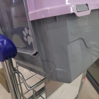 Pegasus Uçuşunda Evcil Hayvan Taşıma Ve Bagaj Hasarı Mağduriyeti