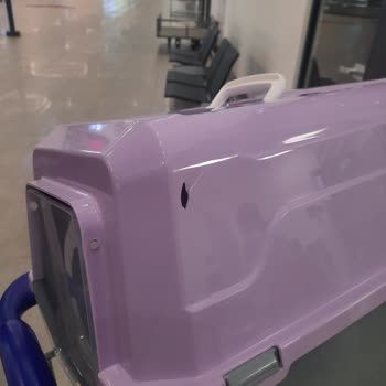 Pegasus Uçuşunda Evcil Hayvan Taşıma Ve Bagaj Hasarı Mağduriyeti