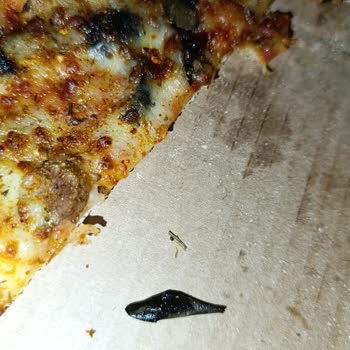 Dominos Pizzamdan Çıkan Zeytin Yaprağı Ve Dalı Hijyen Konusunda Endişe Yarattı