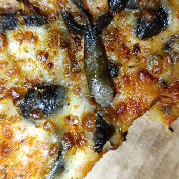 Dominos Pizzamdan Çıkan Zeytin Yaprağı Ve Dalı Hijyen Konusunda Endişe Yarattı