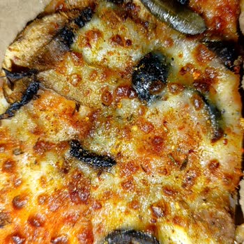 Dominos Pizzamdan Çıkan Zeytin Yaprağı Ve Dalı Hijyen Konusunda Endişe Yarattı