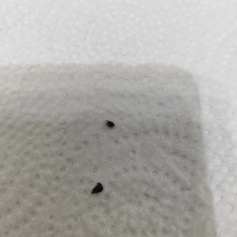 Dr. Oetker Krem Şantide Plastik Benzeri Parçacıklar Nedeniyle Sağlık Endişesi