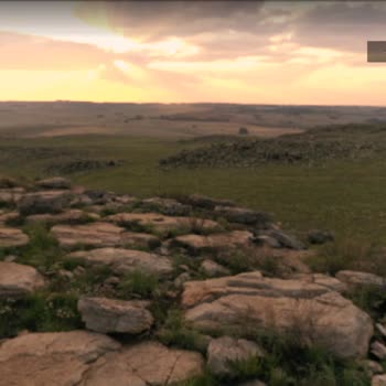 Carparking Multiplayer'da Tekrarlayan Görünmezlik Ve Oynanış Sorunları Oyun Keyfini Yok Ediyor