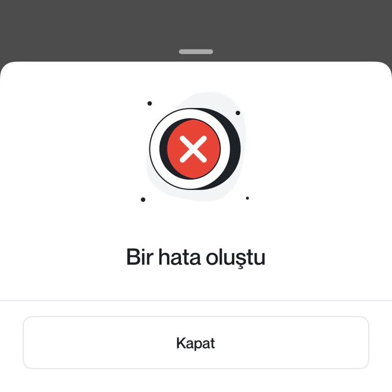 Papel Uygulamasına Erişim Sorunu Ve Hesaptaki Parama Ulaşamama Mağduriyeti