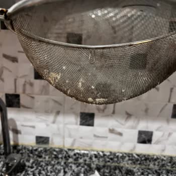 Ota Bebek İrmiğinde Ölü Kurtlar Ve Güvelerle Karşılaşmak Güvenimi Sarstı