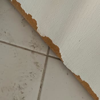 Satın Aldığım Bazada Kısa Sürede Hasar Ve Firma İlgisizliği