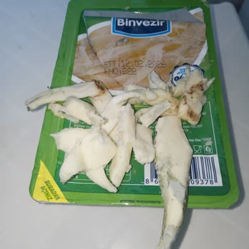 Binvezir Peynir BİM'den Aldığım Eritme Peynir Küflü Çıktı!