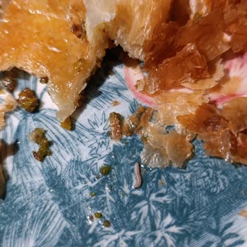 Netizgross Baklava İçinden Kurt Çıktı