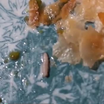 Netizgross Baklava İçinden Kurt Çıktı