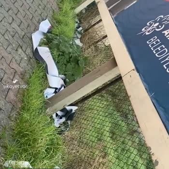 Ataşehir Belediyesi Çöp Ve Pislik
