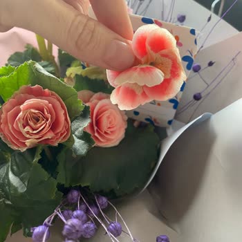 Aldığım Çiçek Siparişi Hayal Kırıklığı Yarattı, Müşteri Memnuniyeti Sağlanmadı