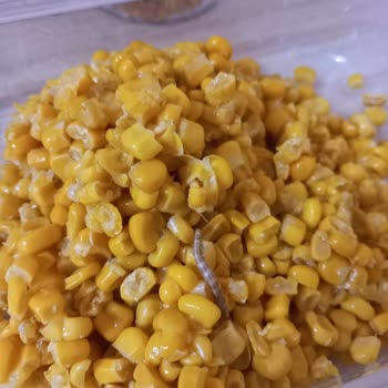 Tada Konserve Mısırda Kurt