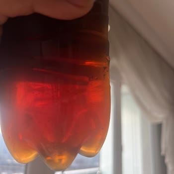 Aldığım Lipton Ice Tea Şişesinde Siyah Partiküller: Sağlık Ve Hijyen Endişesi