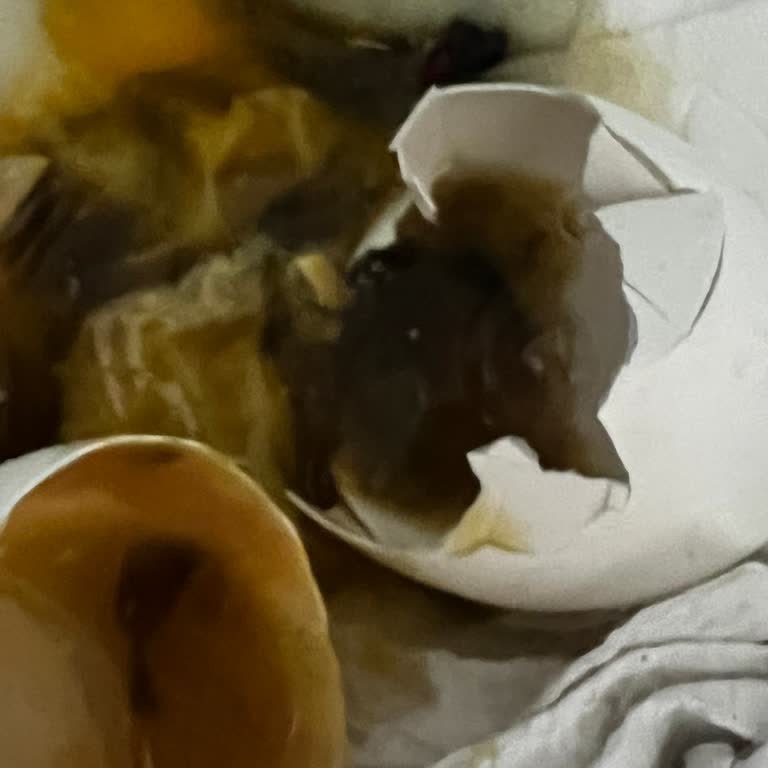 Son Kullanma Tarihi Geçmiş Ve Bozuk Yumurta Teslimatı Sonrası Yetersiz Müşteri Hizmeti