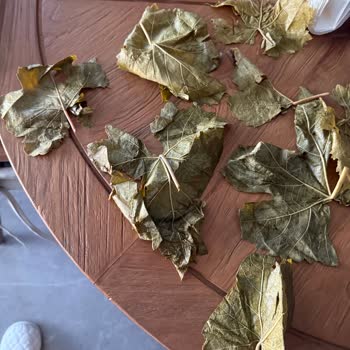 Makromarket Alatat Salamura Yaprak Beklenmedik Şekilde Düşük Kalitede Ve Kullanıma Elverişsiz Çıktı