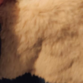 Önceler Ticaret Reklamda Gösterilen Ürünle Gönderilen Ürün Arasındaki Fark Nedeniyle İade Talebi