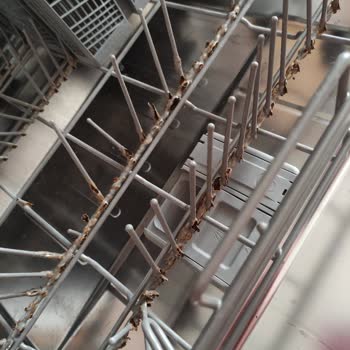 Samsung Bulaşık Makinesi Sepetlerinde Erken Paslanma Ve Garanti Mağduriyeti