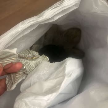 Vakko Online Alışverişte Hasarlı Ürün Ve Yetersiz Müşteri Hizmeti Hayal Kırıklığı