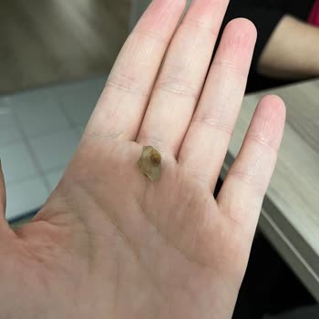 Dosewell Sürülebilir Tahin Helvasından Plastik Parça Çıktı