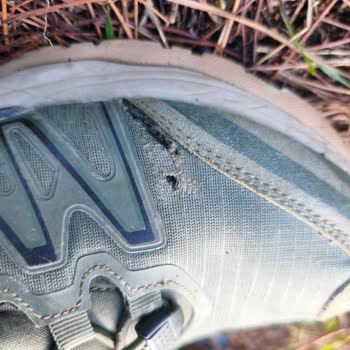 Mis zapatos Dockers se deformaron en 5 meses, solicito cambio