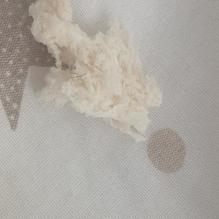 A101'den Satın Alınan Ekmekte Kıl Çıkması: Hijyen Ve Gıda Güvenliği Endişesi