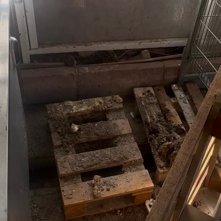 Carrefour SA Konyaaltı Mağazasında Süregelen Hijyen Sorunları Ve Yetersiz Temizlik