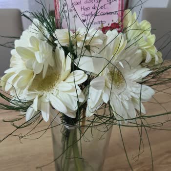 Siparişim Eksik, Solmuş Ve Kalitesiz Çıktı: Hayal Kırıklığı Yaşadım