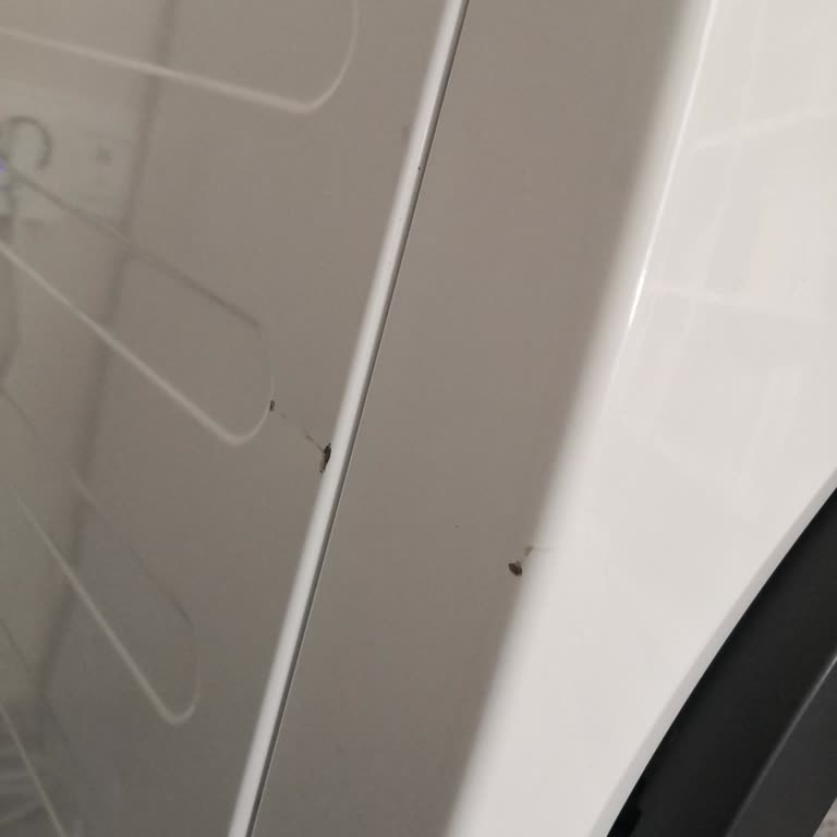 Electrolux Garanti Kapsamında Servise Giden Makinem Darbe Ve Çiziklerle Geri Geldi