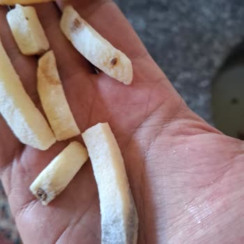 A101’den Satın Alınan Dondurulmuş Patateste Bozuk Ürün Ve Sağlık Riski