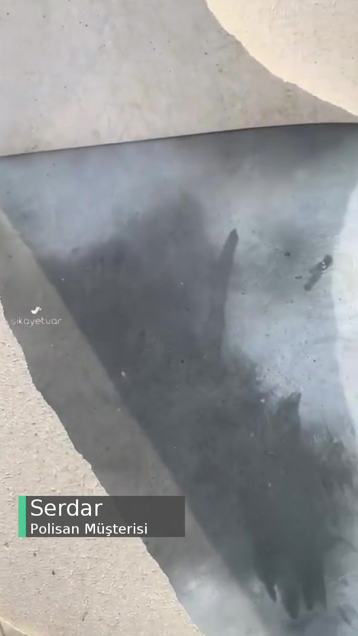 Polisan Kalitesizliği! videonun kapak resmi