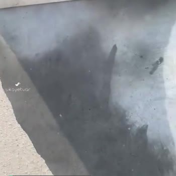 Polisan Kalitesizliği!