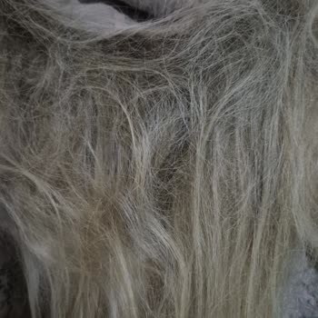 Yüksek Ücretli Gerçek Saç Perukta Sürekli Sorun Ve Güven Kaybı