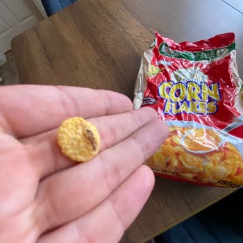 Nestle Corn Flakes Paketinden Çıkan Böcek Nedeniyle Yaşadığım Hijyen Ve Güven Sorunu
