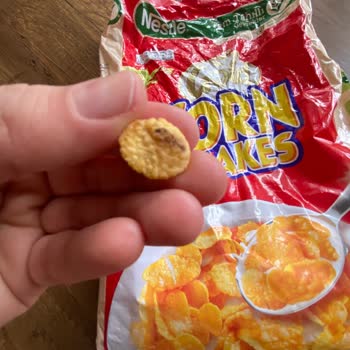 Nestle Corn Flakes Paketinden Çıkan Böcek Nedeniyle Yaşadığım Hijyen Ve Güven Sorunu