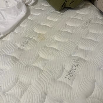 Bambi Yatak Hayal Kırıklığına Uğrattı