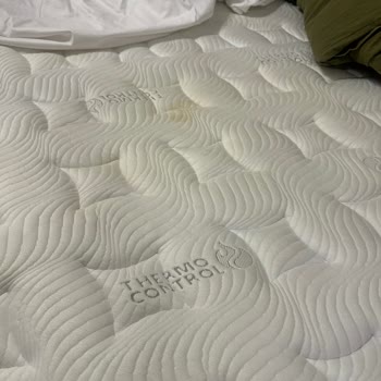 Bambi Yatak Hayal Kırıklığına Uğrattı