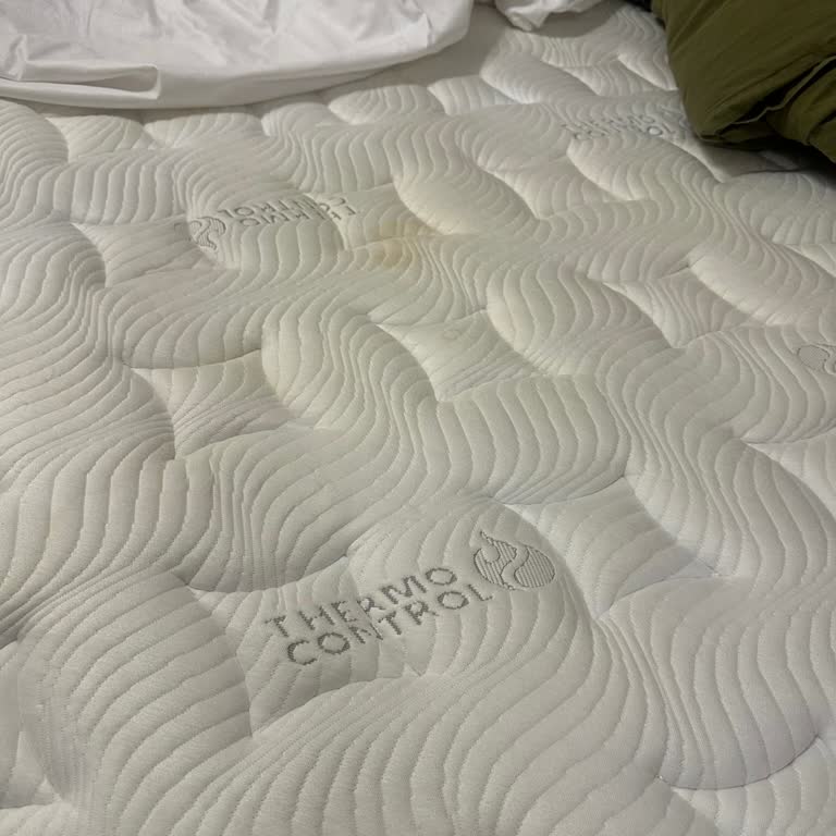 Bambi Yatak Hayal Kırıklığına Uğrattı