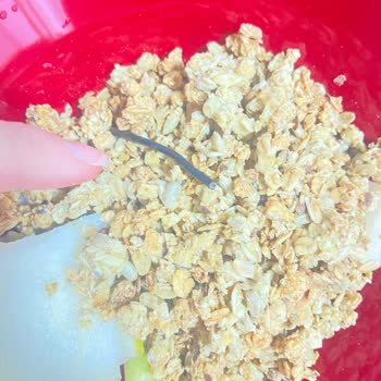 Gıdada Elektrik Kablosu Şoku: Migros Granolada Güvenlik Endişesi