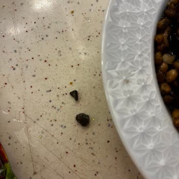 Yayla Bakliyat Kinoalı Salata Topping'ten Taş Çıktı