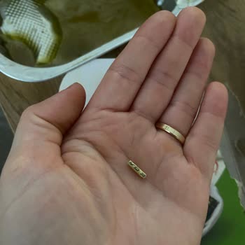 Gıda Ürününde Yabancı Madde Bulunması Şikayeti