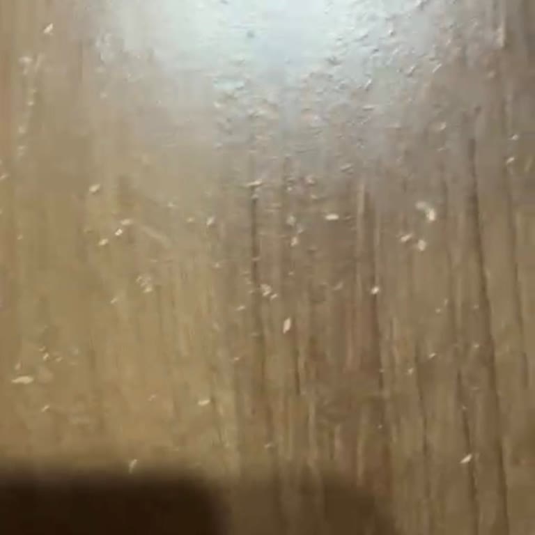 Bellona Yemek Masasında Kısa Sürede Deformasyon Ve Garanti Kapsamında Çözüm Talebi!