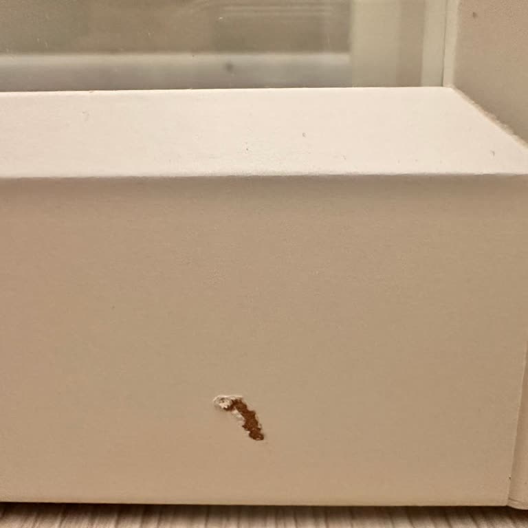 Online Alışverişte Eksik Ve Hasarlı Ürün, Yetersiz Müşteri Hizmeti