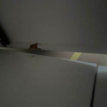 Çilek Mobilya Aspendos Şubesi Tarafından Mağdur Edildim!