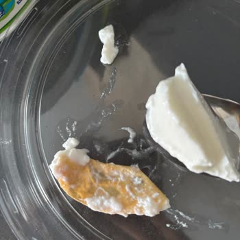 Severek Aldığım Yoğurttan Çıkan Yabancı Maddeyle Hayal Kırıklığı Yaşadım