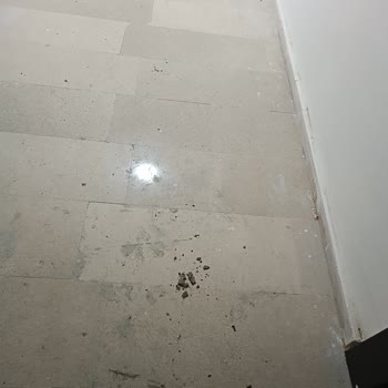 TOKİ Site Yönetiminin İlgisizliği Ve Güvenlik Eksikliği Nedeniyle Mağduriyet Yaşadım